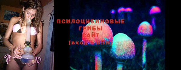 ПСИЛОЦИБИНОВЫЕ ГРИБЫ Абинск